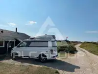 2019 Volkswagen T6