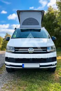 2019 Volkswagen T6