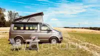 2019 Volkswagen T6