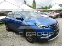2019 Opel GrandlandX