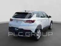 2019 Opel GrandlandX