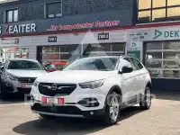 2019 Opel GrandlandX