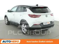 2019 Opel GrandlandX