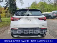 2019 Opel GrandlandX