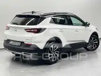 2019 Opel GrandlandX