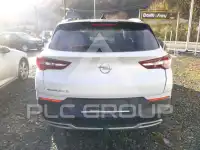 2019 Opel GrandlandX