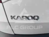 2020 Skoda Karoq