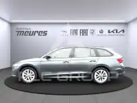 2020 Skoda Octavia