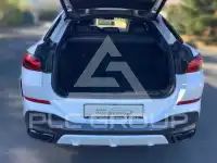 2020 BMW X6