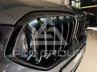 2020 BMW X6