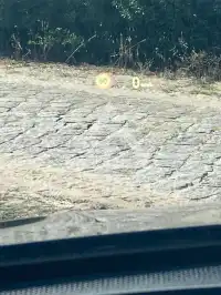 2020 BMW X1
