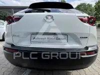2020 Mazda MX-30
