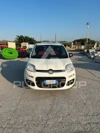 2020 Fiat Panda