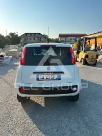2020 Fiat Panda