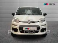 2020 Fiat Panda