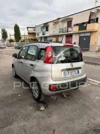 2020 Fiat Panda