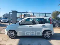 2020 Fiat Panda