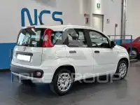 2020 Fiat Panda