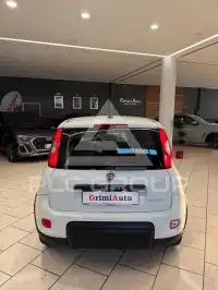 2020 Fiat Panda