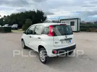 2020 Fiat Panda