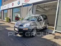 2020 Fiat Panda