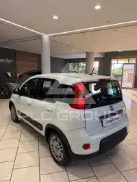 2020 Fiat Panda