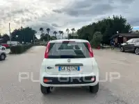 2020 Fiat Panda