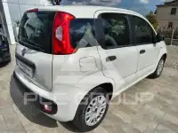 2020 Fiat Panda