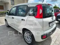 2020 Fiat Panda