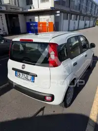 2020 Fiat Panda