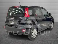 2020 Fiat Panda