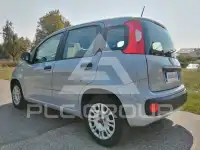 2020 Fiat Panda