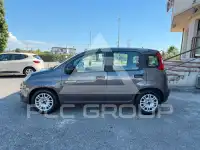 2020 Fiat Panda