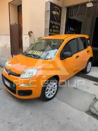 2020 Fiat Panda