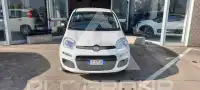 2020 Fiat Panda
