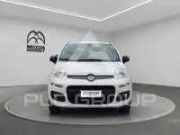 2020 Fiat Panda