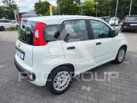 2020 Fiat Panda