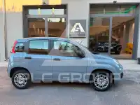 2020 Fiat Panda