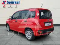 2020 Fiat Panda