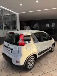 2020 Fiat Panda