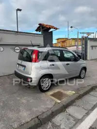 2020 Fiat Panda