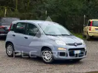 2020 Fiat Panda