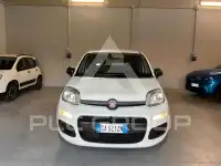 2020 Fiat Panda