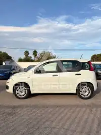 2020 Fiat Panda