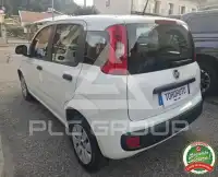 2020 Fiat Panda