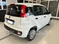 2020 Fiat Panda