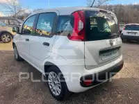 2020 Fiat Panda