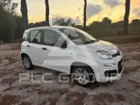 2020 Fiat Panda