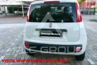 2020 Fiat Panda