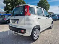 2020 Fiat Panda